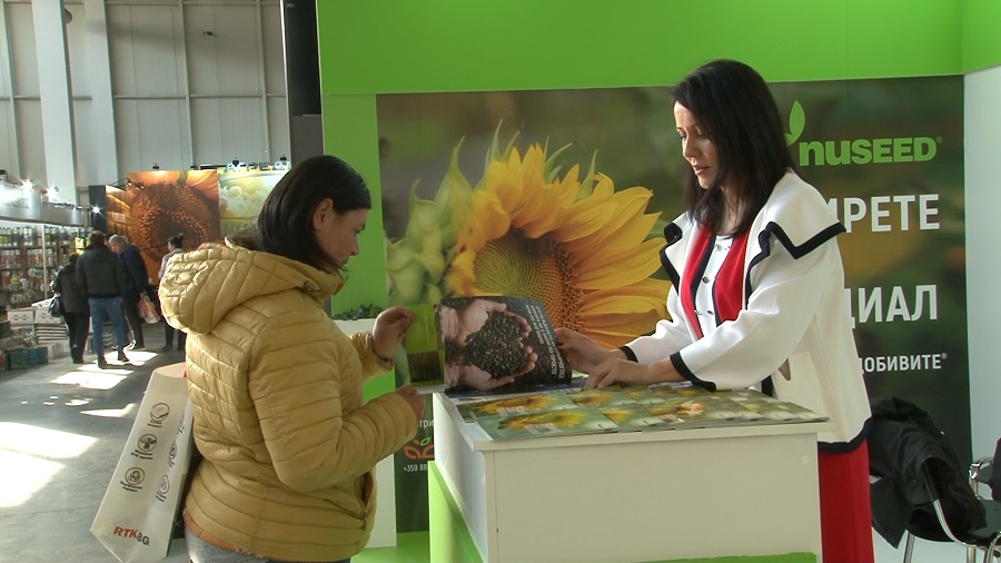 Последната иновация при слънчогледа – тройна генетична устойчивост