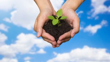 human hand holding growing plant for save environment,world eart
