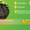 agrotema aktivnosti na Instituta po agrarna ikonomika