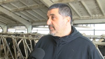 kravi zemedelie veterinari fermeri agrotv