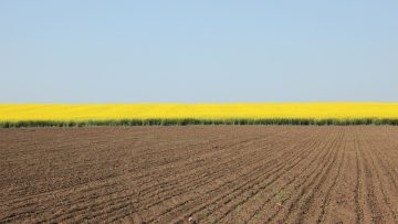 rapitsa borsa zemedeltsi agroborsa agrotv