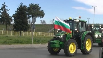 наз-протести