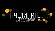 Pchelinite logo 900x600px