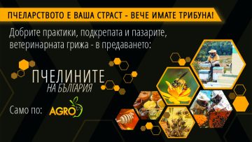 Pchelinite na BG www 800x500px