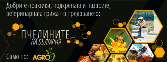 Предаването „Пчелините на България“ стартира по Агро ТВ