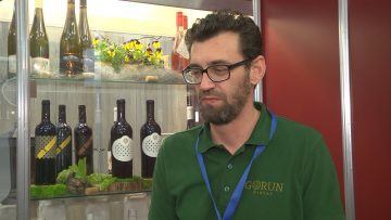 Svetoslav Krastev tehnolog izba grozde vino