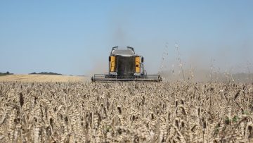 agroforum zarno pasishta faliti pazar agrotvbalgaria zemedelets 0080