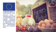 Table with locally grown vegetables