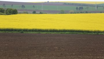 bryuksel prevod agropolitika prsr