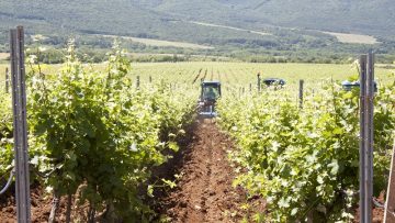 lozya agronovini zemedelie traktori _2707