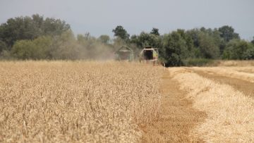 zarno agronovini zemedelie pazari