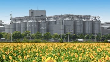 Agricultural Silos – Building Exterior, Storage and drying of gr