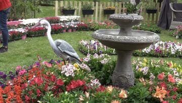 Agrotema – Flora 2023.mpg_snapshot_02.36.019