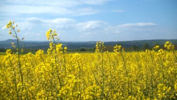 agroborsa rapitsa hrani petrol