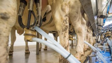 milk-3455394_960_720