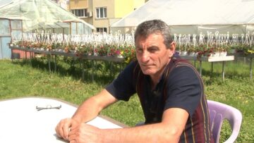 te pobediha tsvetya oranzheria