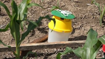 biznes novini trihograma livadna peperuda agrotv