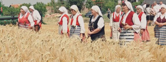 И още: Публично да се обявяват имената на фирмите, които системно произвеждат некачествени храни