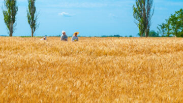 ukraine-999369_1280