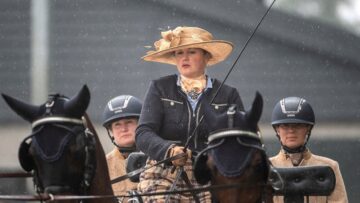 коне-конен-спорт-агротв