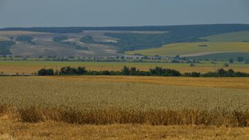 борса-земеделие-агротв-зърно-стоки
