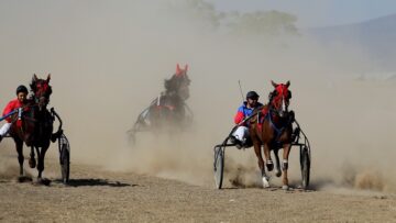 конете-конен-спорт-агротв