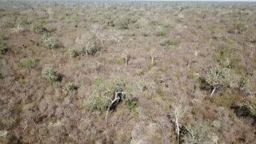 продажба-земя-парагвай-агротв