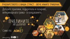 пчелини