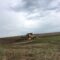 По обяд в Париж пшеницата е с малка печалба, рапицата губи