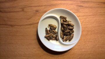 food-2499717_1280