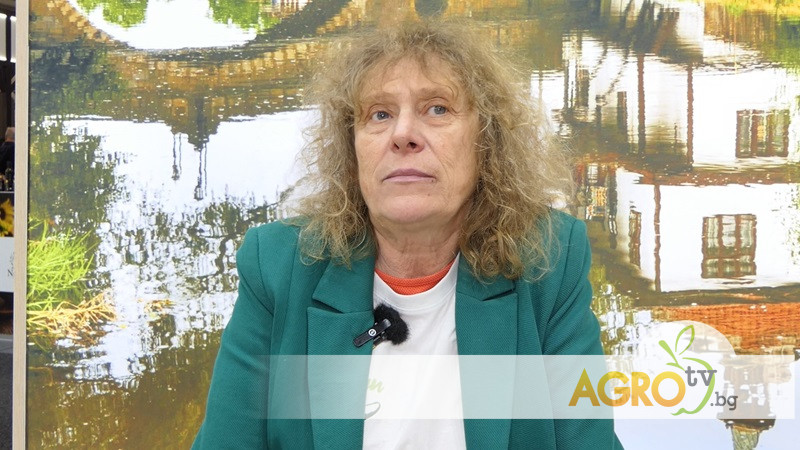 Preload Image