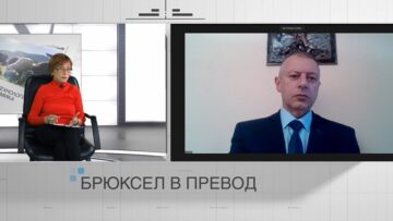 брюксел