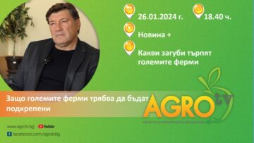 венцислав върбанов