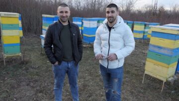 пчелари