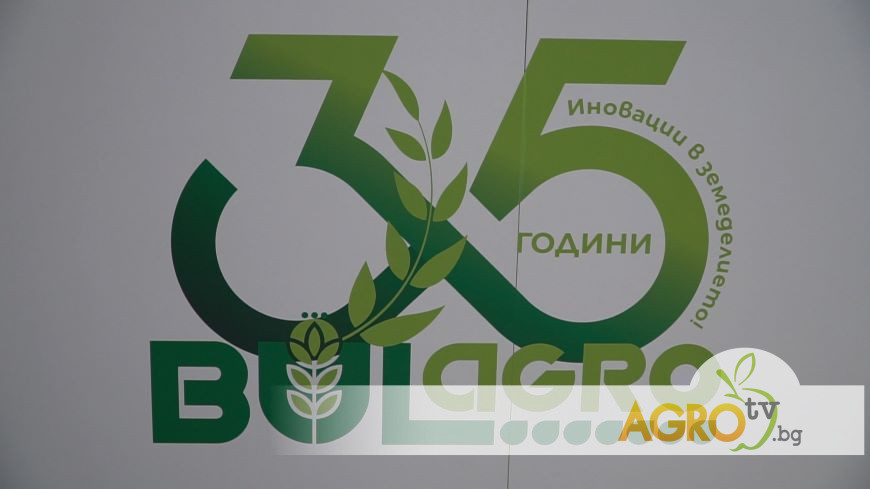 Отлични продукти за всяко поле от Булагро АД