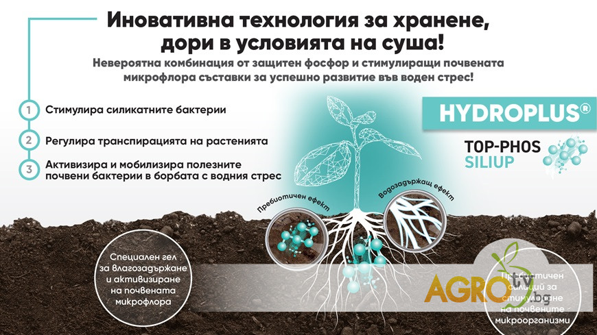 HYDROPLUS® TOP-PHOS SILIUP - иновативна технология за хранене, дори в условия на суша!