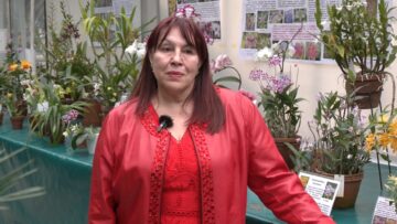 botanicheska gradina rastenia prolet