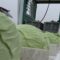 Агротема: Оранжерийното производство – какви са предизвикателствата
