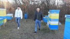 Братята Стефан и Георги Михайлови