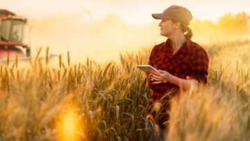 A woman farmer examines the field of cereals and sends data to t