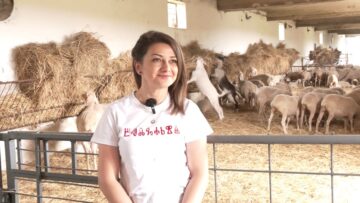Galina Mircheva ovtsevad agrotv agneshko