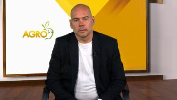 agneshko-meso-tsena-agrotv