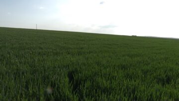 agro tv pole