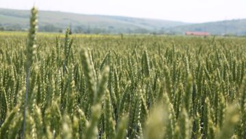 borsa zemedelie pazari agrotv