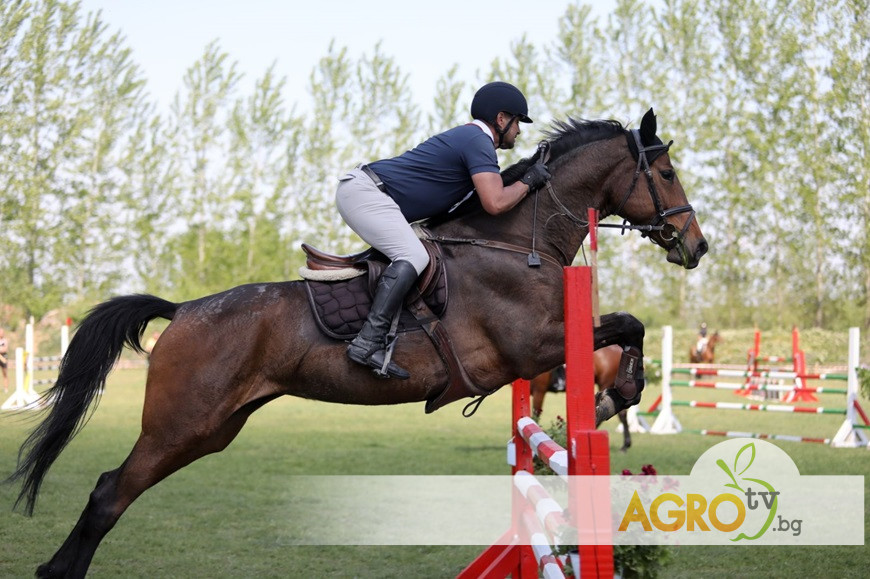 В „Конете на България“: Турнир по прескачане на препятствия от врачанското село Хайредин