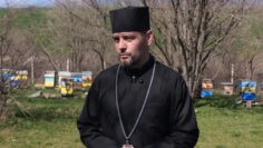 otets branimir chirpan pcheli