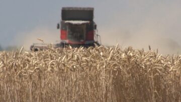 prognoza-rekolta-zarno-agrotv
