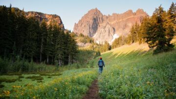 Hiker walking on pathway amidst trees towards mountains