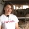 ЖИВОТНОВЪДСТВО: Фермери посетиха испански институт за селекция на породата Асаф