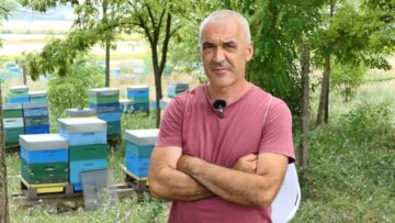 Plamen Dimitrov pchelar